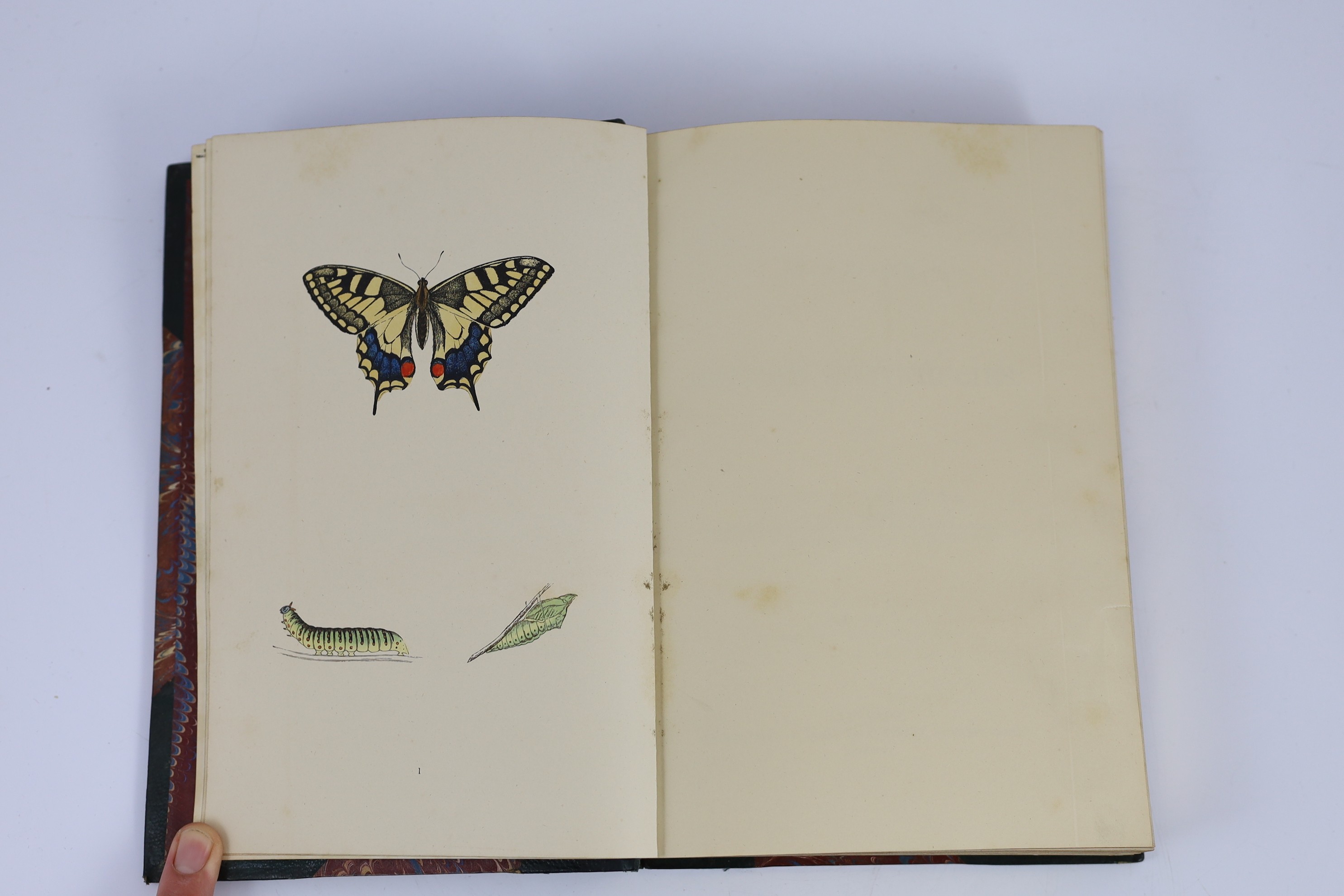 Morris, Rev. Francis Orpen - A History of British Butterflies. 4th edition. 72 hand coloured and 2 other plates. contemp. half morocco and marble boards, gilt decorated and panelled spine, ge. and marbled e/ps., 4 to. 18